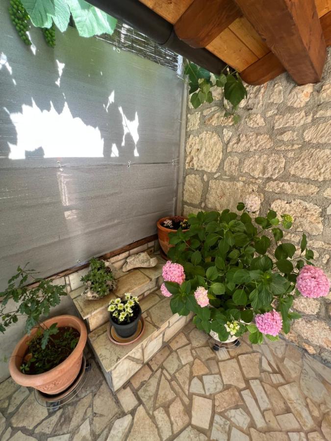 Kuca Za Odmor Matea Apartment Пореч Екстериор снимка